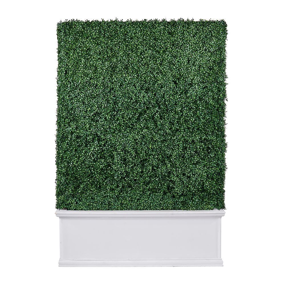 Hedge Wall White Wood