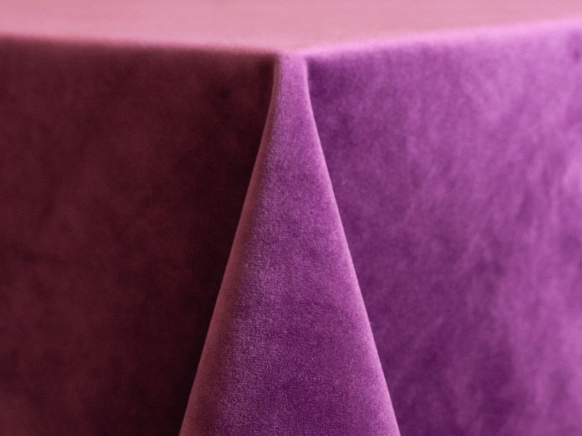 Velvet, Grape