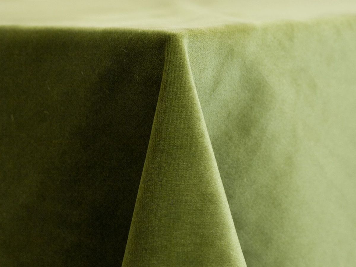 Velvet, Leaf